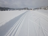 Piste de ski de fond